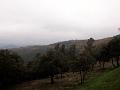 2005-11 WE Cevennes 040